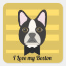 Pesquisar por boston terrier adesivos Cachorro fofo