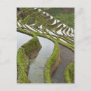 Pesquisar por inundações cartoes postais Paisagem