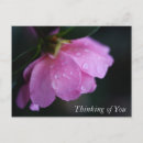 Pesquisar por gota da água cartoes postais Botânica