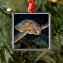 Pesquisar por coral ornamentos Fotografia