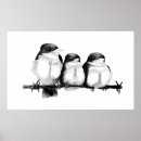 Pesquisar por pintinho preto e branco artes pôsteres Aves