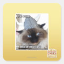 Pesquisar por vim adesivos Eu posso ter cheezburger