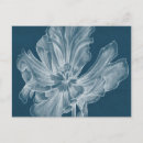 Pesquisar por gráficos cartoes postais Tulipas