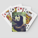 Pesquisar por urso panda baralhos Animal