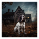 Pesquisar por springer spaniel pósteres pôsteres Qualquer pessoa