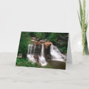 Pesquisar por cena cartoes Vista