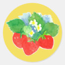 Pesquisar por plantas amarelas adesivos Qualquer pessoa