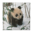 Pesquisar por pandas azulejos Bebê