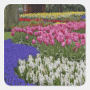 Pesquisar por netherlands adesivos Europe