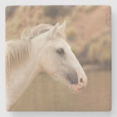 Pesquisar por cavalo branco porta copos Equino