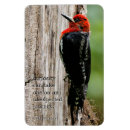 Pesquisar por safado presentes Pica pau