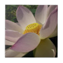 Pesquisar por flor lotus de azulejos Natureza