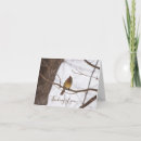 Pesquisar por cardeal fêmea cartoes Fotografia