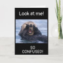 Pesquisar por esquecer cartoes Fotografia