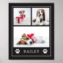 Pesquisar por pata preta pôsteres For pets