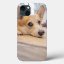 Pesquisar por cute baby iphone capas Pembroke welsh corgi