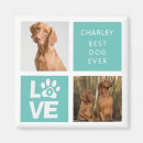 Pesquisar por os melhores ímãs imas Fotográfico