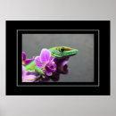 Pesquisar por répteis pôsteres Lagartixa