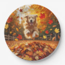 Pesquisar por pilhas pratos Qualquer pessoa