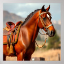 Pesquisar por cavalo selado Equino