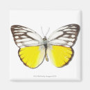 Pesquisar por animals imas Natureza