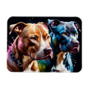 Pesquisar por bull terrier imas Pitbull