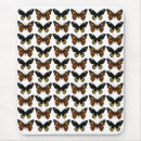 Pesquisar por borboleta preta e marrom Insetos