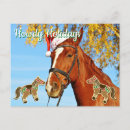 Pesquisar por cavalo no celeiro cartoes postais Amante de cavalo
