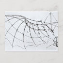 Pesquisar por desenho de da vinci cartoes postais Esboço