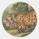 Pesquisar por onça adesivos Leopardo