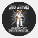 Pesquisar por jiu jitsu brasileiro adesivos Vibrações de outono