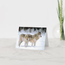 Pesquisar por lobo na neve cartoes Natureza