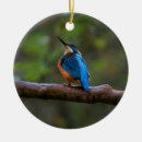 Pesquisar por galho ornamentos Pássaro