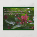 Pesquisar por atitude positiva cartoes postais Gratidão