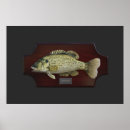 Pesquisar por troféus da pesca Baixo