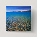 Pesquisar por limpo botons Cênico