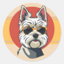 Pesquisar por cão maltês adesivos Colheita