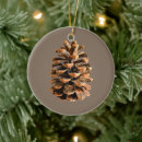 Pesquisar por pine cone ornamentos Pinheiro