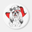 Pesquisar por fashion imas Animal