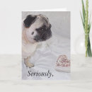 Pesquisar por pug valentine cartoes Sweetheart
