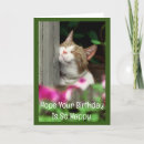 Pesquisar por gato do feliz vertical aniversario cartoes Humor