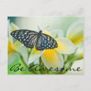 Pesquisar por andorinha cartoes postais Flor