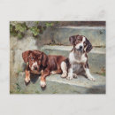 Pesquisar por cães do vintage cartoes postais Cachorros