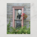 Pesquisar por parody cartoes postais Humor