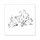 Pesquisar por lírio carimbos Elegante