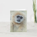 Pesquisar por psto em perigo Macaco
