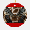 Pesquisar por do girafa de natal ornamentos Girafas