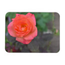 Pesquisar por fábrica imas Flor