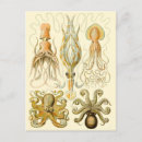 Pesquisar por octopus cartoes convites Retrô