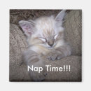 Pesquisar por movimentação imas Divertimento